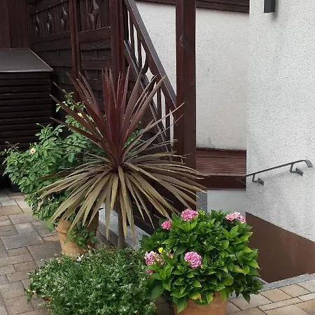 アパート Hafner 